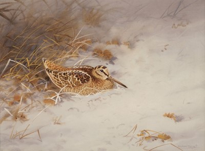 Lot 202 - Robjent (Richard, 1937-). Woodcock - Winter, watercolour and gouache on paper