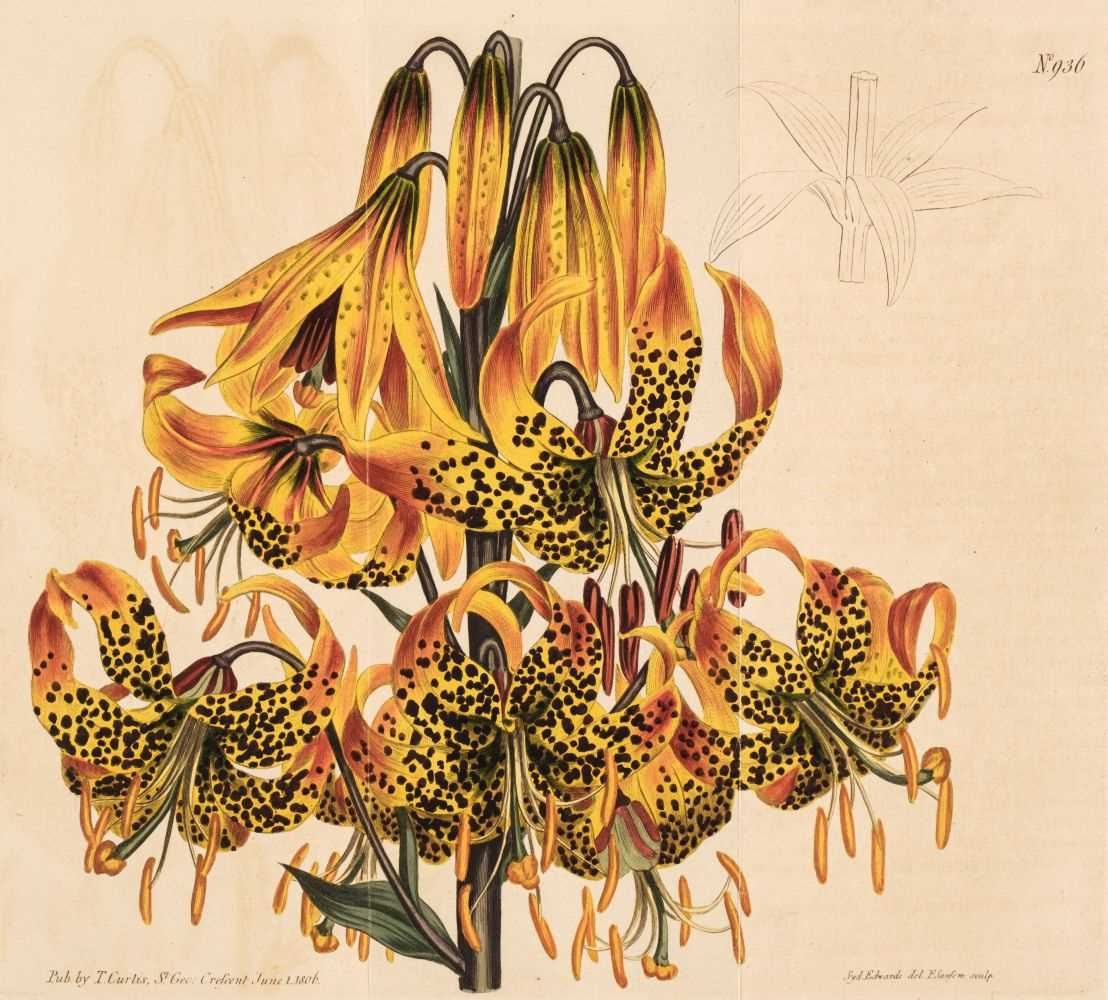 Lot 182 - Botany. A collection of approximately 170