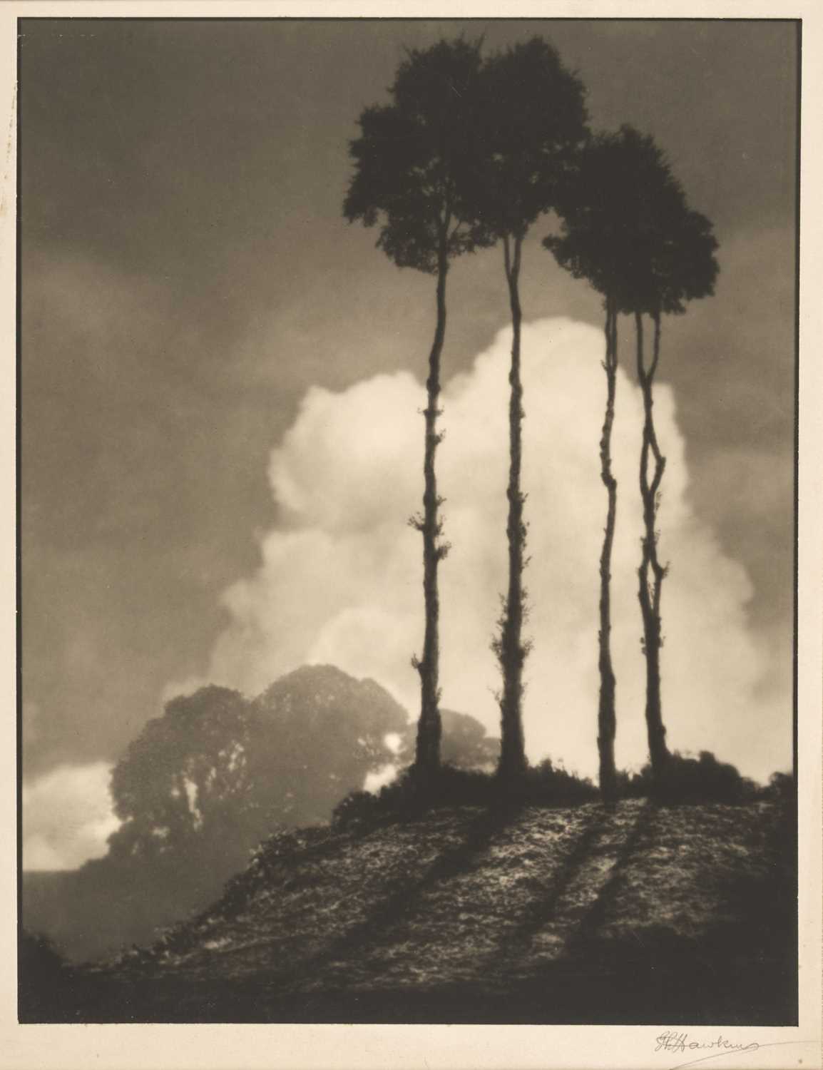Lot 143 - Hawkins (George Leslie, 1897-1958). Design in Landscape, c. 1956, large chlorobromide print