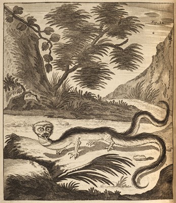 Lot 129 - Scheuchzer (Johann Jacob). Ouresiphoites Helveticus, 4 parts in 1, 2nd ed, 1723