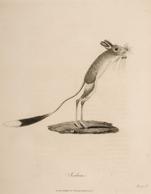 Lot 12 - Bruce (James). Travels to Discover the Source of the Nile, in the Years..., 1790, 5 volumes