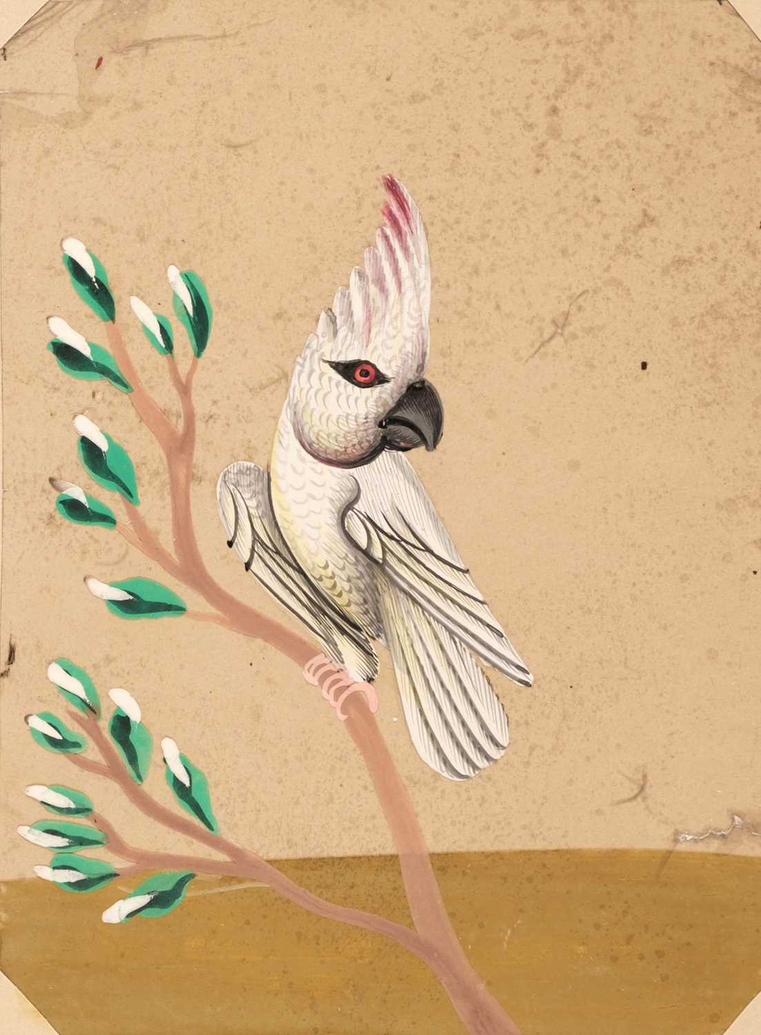 Lot 20 - Company School. An album of fifty-eight Indian mica paintings, circa 1850