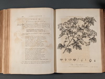 Lot 83 - Evelyn (John). Silva: or, A Discourse of Forest-Trees, 1776