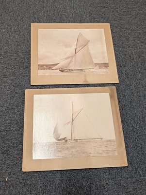 Lot 111 - Twentieth Century Photography. An assorted collection of approximately 100 loose photographs