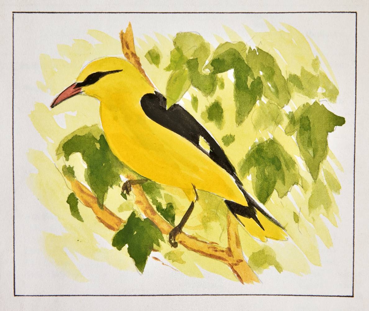 Lot 148 Meinertzhagen, Richard