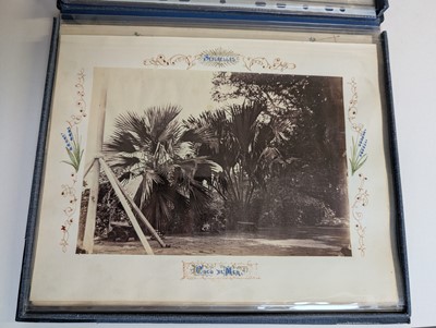 Lot 42 - Seychelles. A very fine collection of 25 photographs taken by Colonel Lambert Playfair..., and others