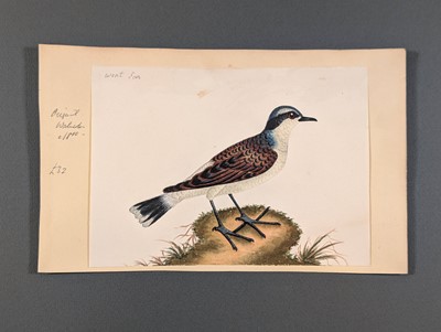 Lot 166 - Birds. Twenty-Eight Watercolours, circa 1810