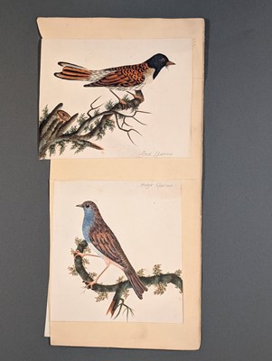 Lot 166 - Birds. Twenty-Eight Watercolours, circa 1810