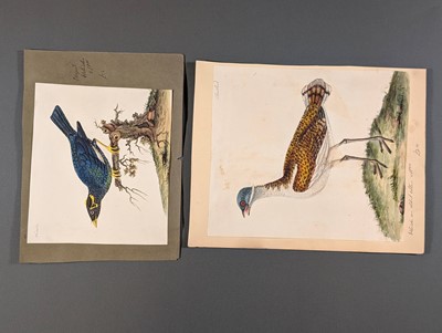 Lot 166 - Birds. Twenty-Eight Watercolours, circa 1810