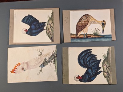 Lot 166 - Birds. Twenty-Eight Watercolours, circa 1810