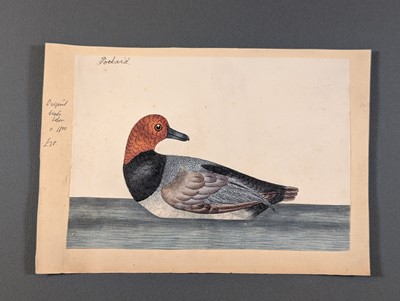 Lot 166 - Birds. Twenty-Eight Watercolours, circa 1810