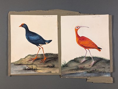 Lot 166 - Birds. Twenty-Eight Watercolours, circa 1810