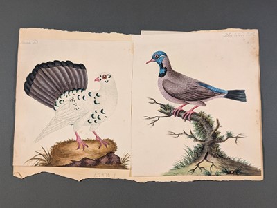 Lot 166 - Birds. Twenty-Eight Watercolours, circa 1810