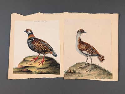 Lot 166 - Birds. Twenty-Eight Watercolours, circa 1810