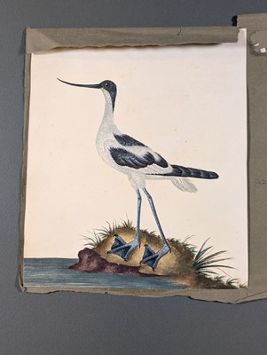 Lot 166 - Birds. Twenty-Eight Watercolours, circa 1810