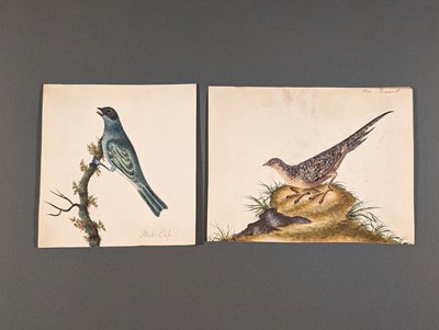 Lot 166 - Birds. Twenty-Eight Watercolours, circa 1810