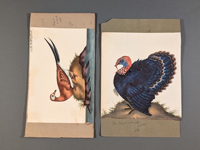 Lot 166 - Birds. Twenty-Eight Watercolours, circa 1810