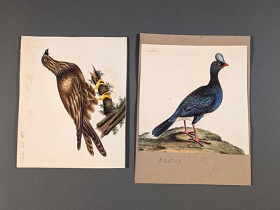 Lot 166 - Birds. Twenty-Eight Watercolours, circa 1810