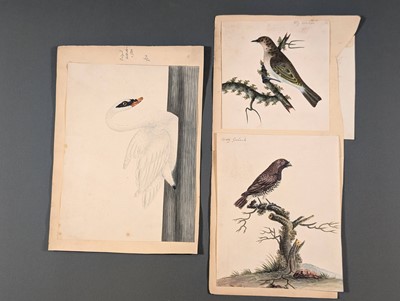 Lot 166 - Birds. Twenty-Eight Watercolours, circa 1810