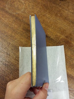 Lot 26 - Potter (Beatrix). The Tale of Two Bad Mice, 1st deluxe edition, 1904