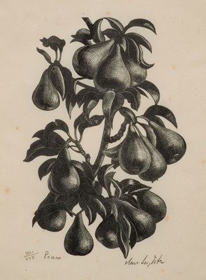 Lot 245 - Leighton (Clare, 1899-1989). Pears, circa 1935