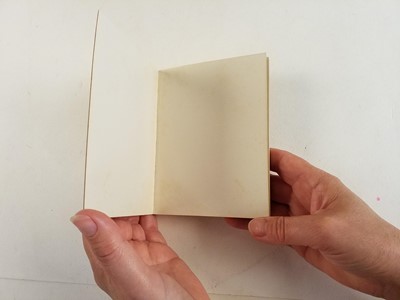 Lot 6 - Potter (Beatrix). The Tale of Peter Rabbit, 1st privately printed edition, 1901