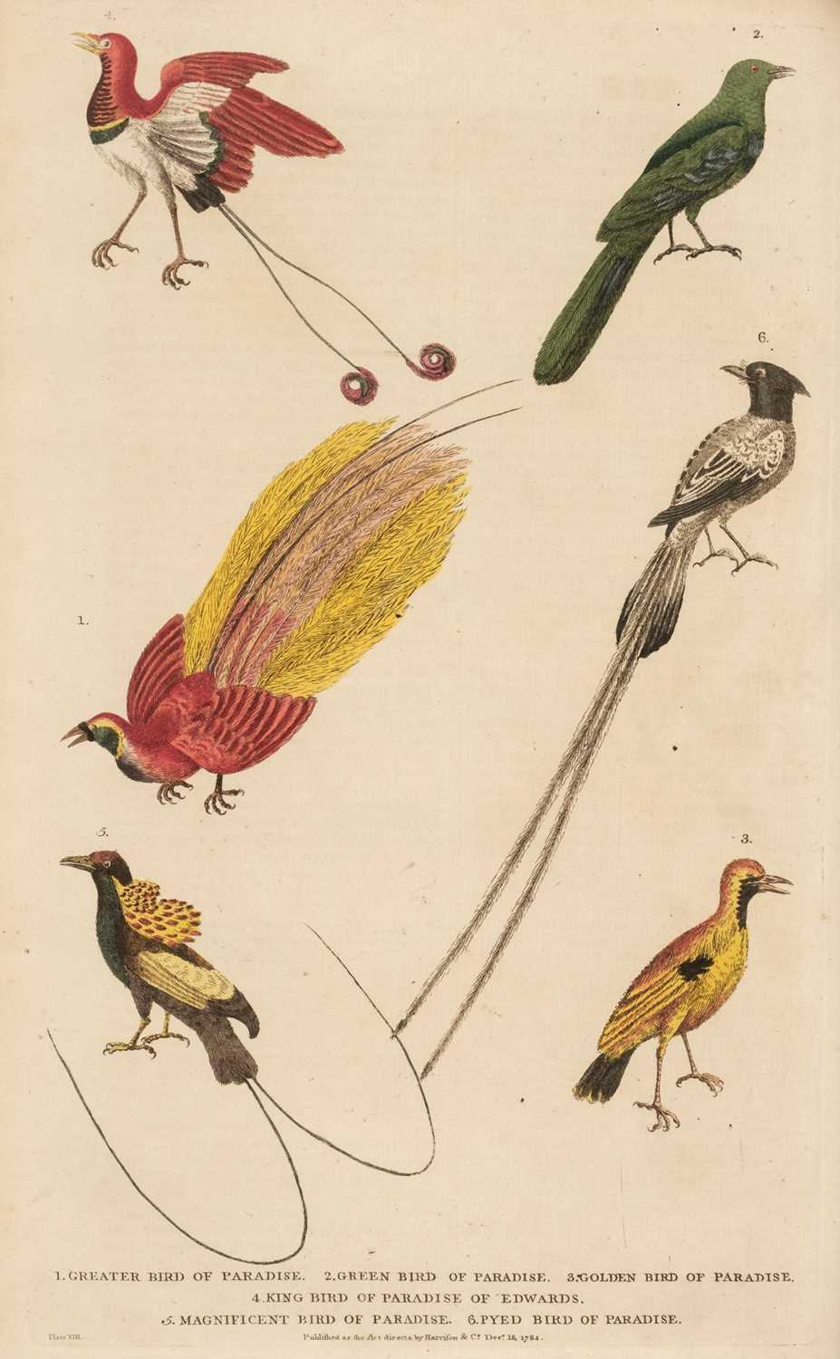 Lot 91 - Martyn (William Frederic). A New Dictionary of Natural History..., 1785
