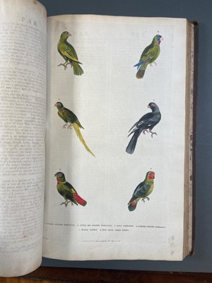 Lot 91 - Martyn (William Frederic). A New Dictionary of Natural History..., 1785
