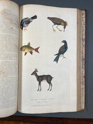 Lot 91 - Martyn (William Frederic). A New Dictionary of Natural History..., 1785