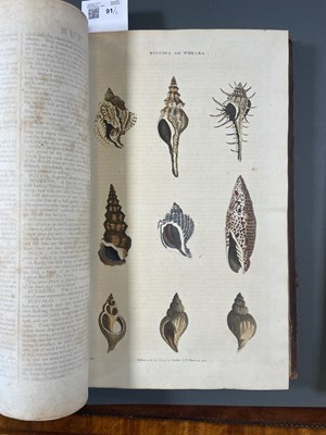 Lot 91 - Martyn (William Frederic). A New Dictionary of Natural History..., 1785