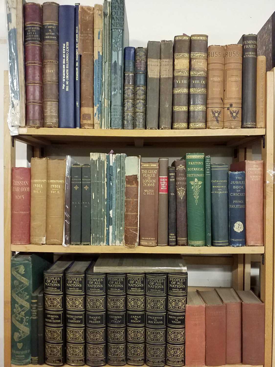 Govern Blue Lot 374 - Government Blue Books. Royal Commission on