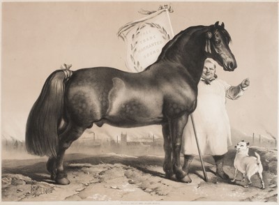 Lot 188 - Landseer (Sir Edwin Henry, after). Free Trade Warranted Sound, 1854