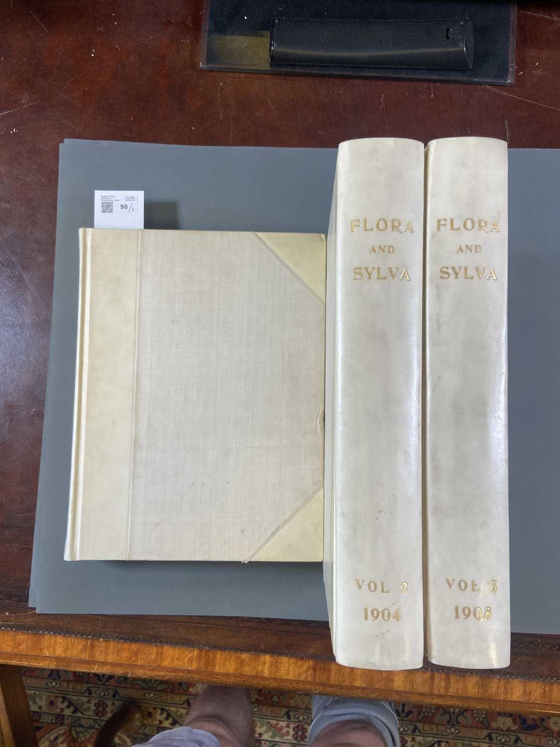 Lot 98 - Robinson (William, editor). Flora and Sylva, 3 volumes, London, 1903-05