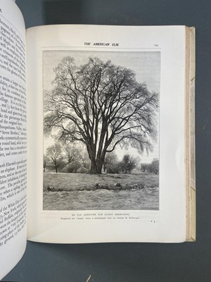 Lot 98 - Robinson (William, editor). Flora and Sylva, 3 volumes, London, 1903-05