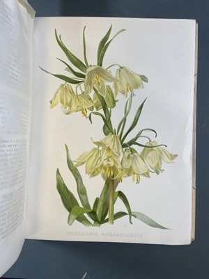 Lot 98 - Robinson (William, editor). Flora and Sylva, 3 volumes, London, 1903-05