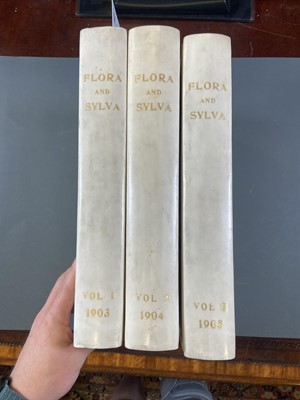 Lot 98 - Robinson (William, editor). Flora and Sylva, 3 volumes, London, 1903-05