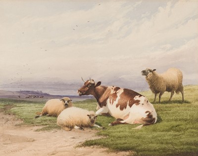 Lot 166 - Cooper (Thomas Sydney, 1803-1902). Cattle and sheep, watercolour on paper