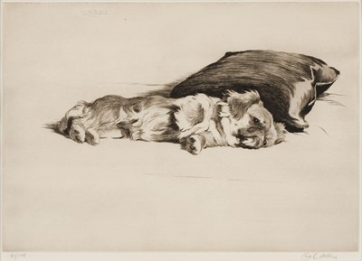 Lot 160 - Aldin (Cecil Charles Windsor, 1870 - 1935). Susan the Pekinese