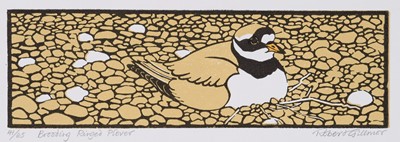 Lot 290 - Gillmor (Robert, 1936-2022). Brooding Ringed Plover