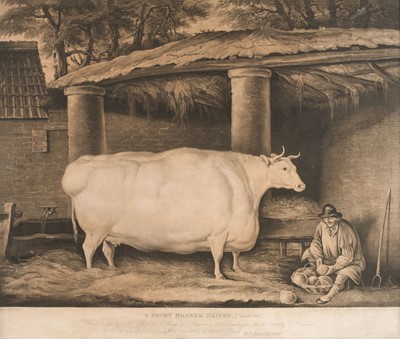 Lot 251 - Ward (William). A Short Horned Heifer, 7 years old..., 1811