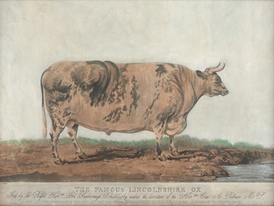 Lot 242 - Baranger (J. artist). The Famous Lincolnshire Ox..., [1823]