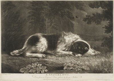 Lot 246 - Mullins (George). A Spaniel Dog, 1772
