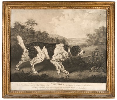 Lot 254 - Ward (William). Thunder, An English Setter..., 1798