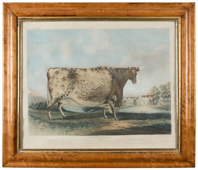 Lot 247 - Reeve (R. G.). The Airedale Heifer, circa 1831