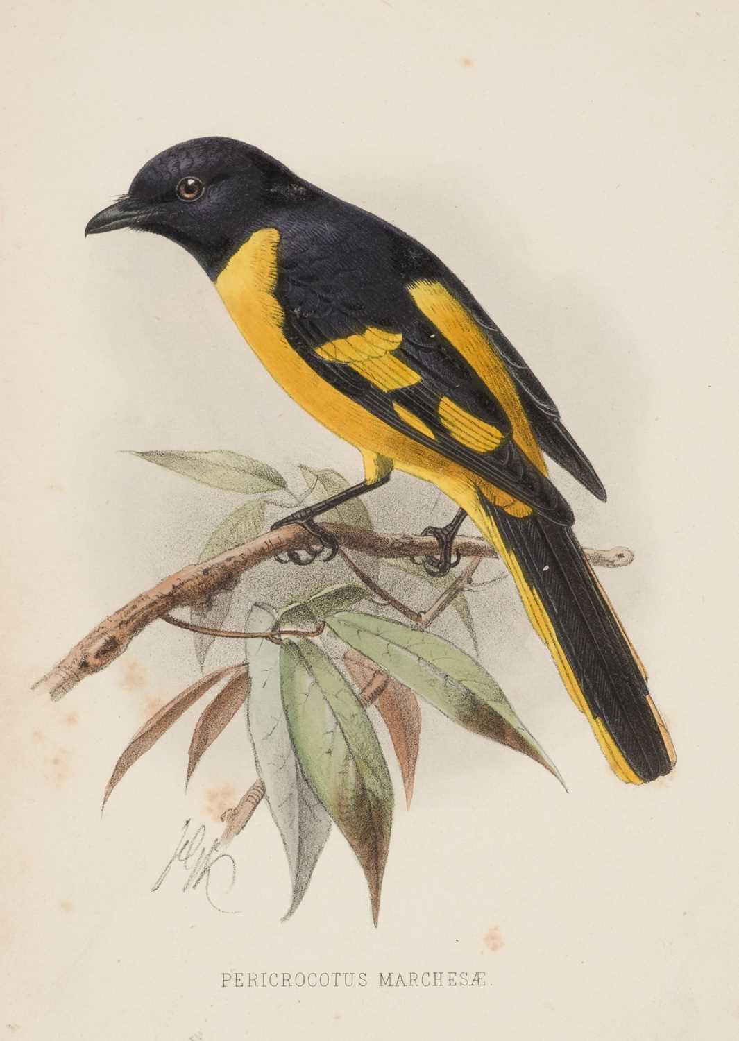 Lot 17 - Guillemard (F. H. H.) The Cruise of the Marchesa to Kamschatka, 2 volumes, 1st edition, 1886