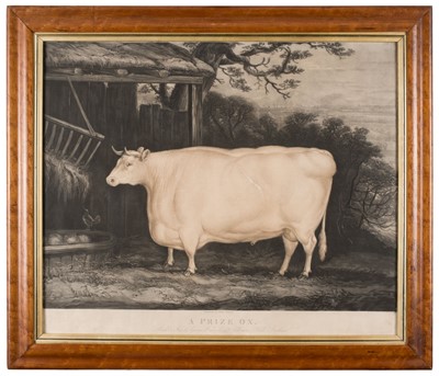 Lot 255 - Weaver (Thomas, after 1774-1853). A Prize Ox [1831]