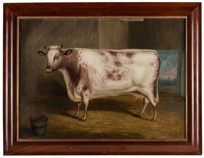 Lot 121 - Naïve School. Portrait of a Dairy Shorthorn Heifer