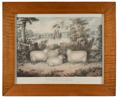 Lot 245 - Giles (J. W.). Four Prized Wethers, printed by J. Graff, circa 1837