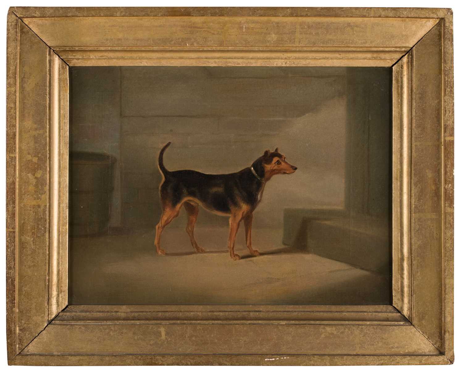 Lot 116 - English School. Portrait of a Terrier, circa 1850