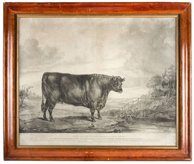 Lot 243 - Dighton (Denis). Queen of Scots, A Pure Galloway Scotch Heifer, circa 1820